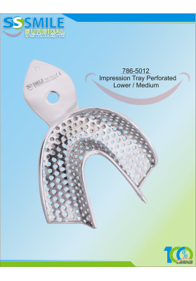 Impression Tray (Regular Pattern) Perforated Lower / Medium